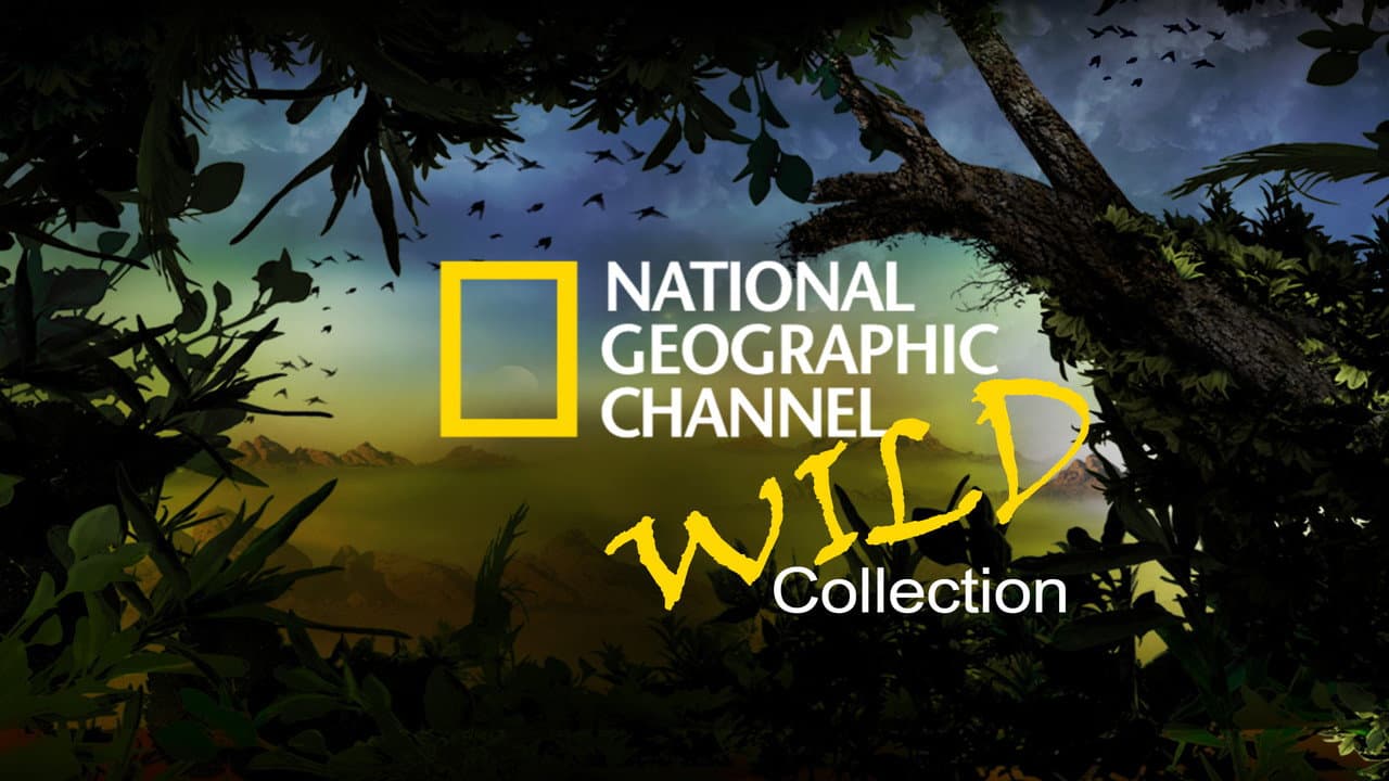 National Geographic Channel: Wild
